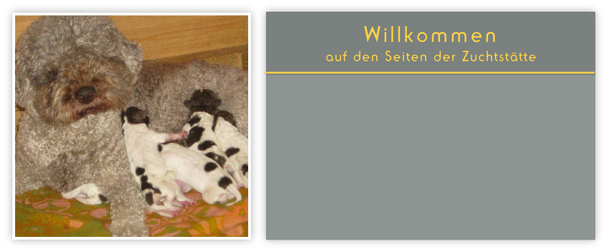 Willkommen
auf den Seiten der Zuchtstätte