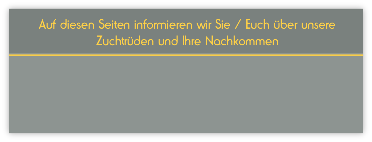 Auf diesen Seiten informieren wir Sie / Euch über unsere Zuchtrüden und Ihre Nachkommen